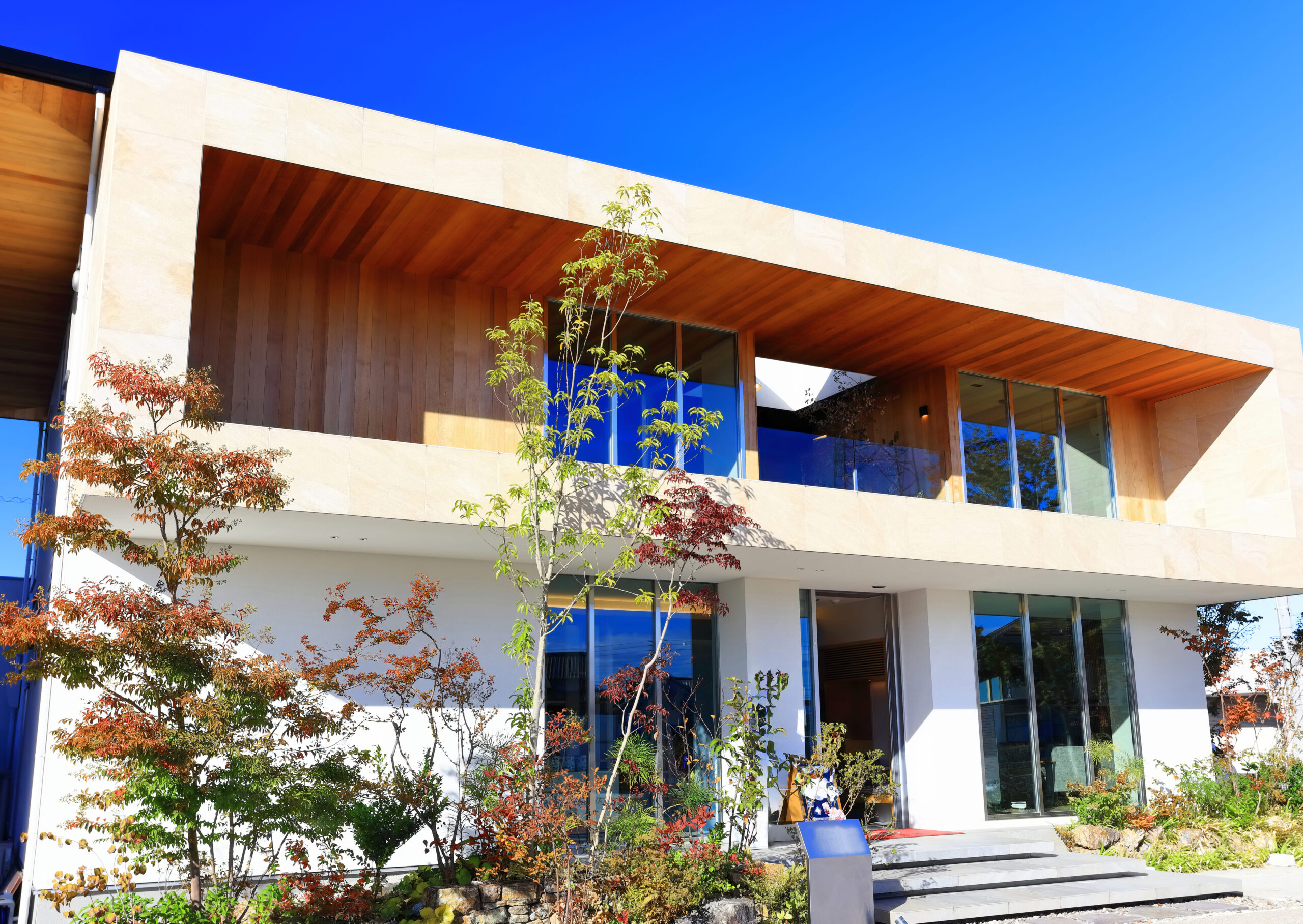 株式会社ロビンフット